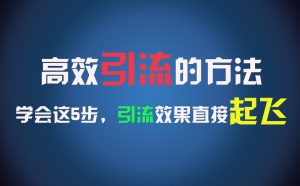 高效引流的方法,可以帮助你日引300+创业粉,一年轻松收入30万,比打工强太多!-理想项目库