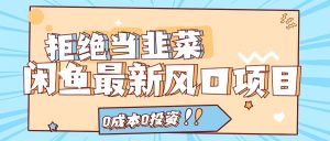拒绝当韭菜!(11781期)闲鱼最新风口项目,0成本0投资,当日出单,日入1000+-理想项目库