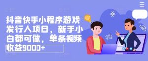 抖音快手小程序游戏发行人项目，新手小白都可做，单条视频收益9000+-理想项目库