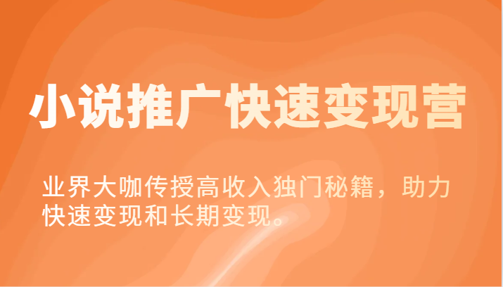 小说推广快速变现营-业界大咖传授高收入独门秘籍，助力快速变现和长期变现。-理想项目库