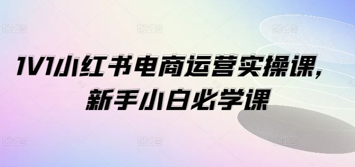 1V1小红书电商运营实操课，新手小白必学课-理想项目库