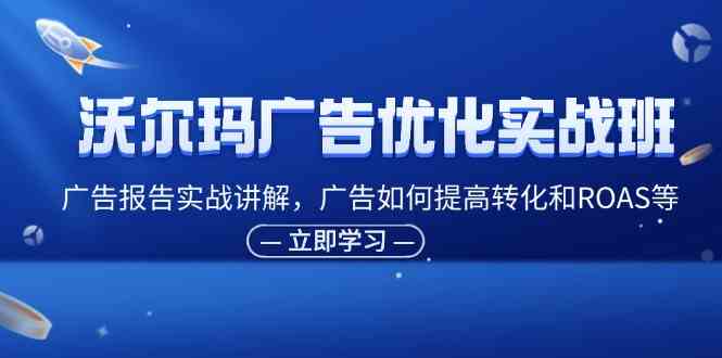 沃尔玛广告优化实战班，广告报告实战讲解，广告如何提高转化和ROAS等-理想项目库