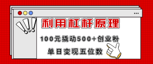 (11859期)利用杠杆100元撬动500+创业粉,单日变现5位数-理想项目库