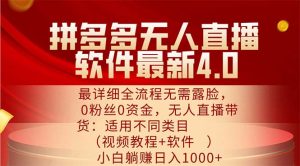 （11891期）拼多多无人直播软件最新4.0，最详细全流程无需露脸，0粉丝0资金， 小白…-理想项目库