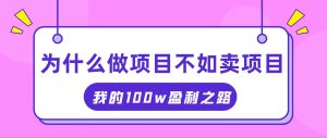 （11893期）抓住互联网创业红利期，我通过卖项目轻松赚取100W+-理想项目库