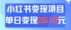 (11885期)利用小红书卖资料单日引流150人当日变现2610元小白可实操(教程+资料)-理想项目库
