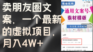 (11886期)卖朋友圈文案,一个最新的虚拟项目,月入4W+(教程+素材)-理想项目库