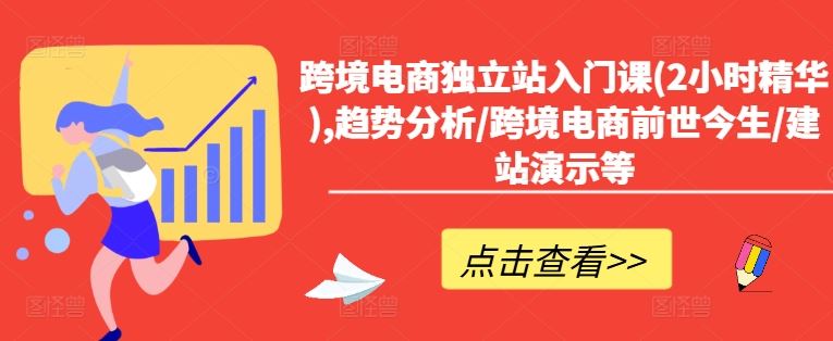 跨境电商独立站入门课(2小时精华),趋势分析/跨境电商前世今生/建站演示等-理想项目库
