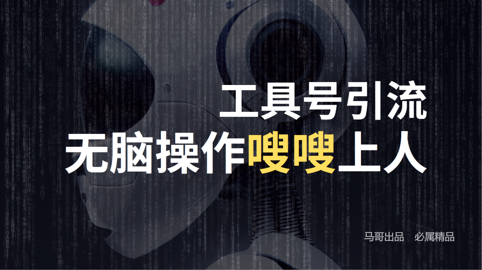 工具号高效引流法，嗖嗖上人，日引1000+，直接搬运，无脑操作-理想项目库