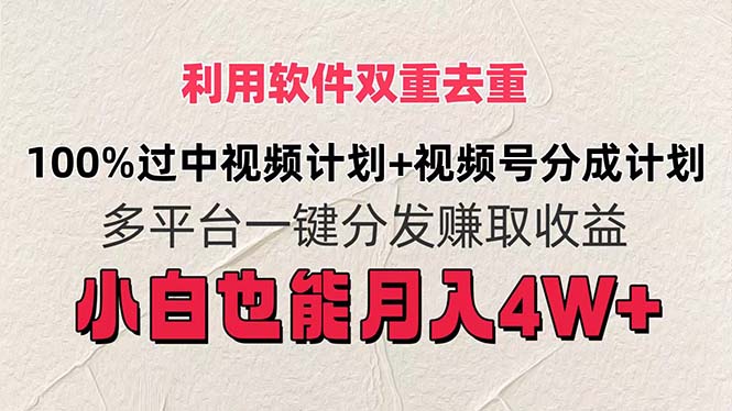 （11862期）利用软件双重去重，100%过中视频+视频号分成计划小白也可以月入4W+-理想项目库