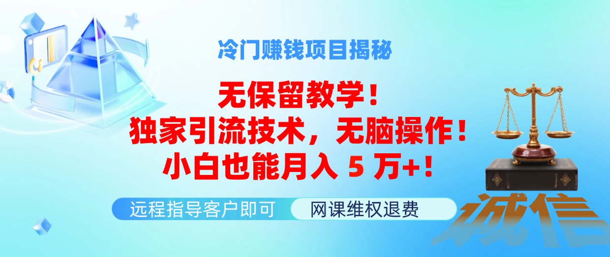 （11864期）冷门赚钱项目无保留教学！独家引流技术，无脑操作！小白也能月入5万+！-理想项目库