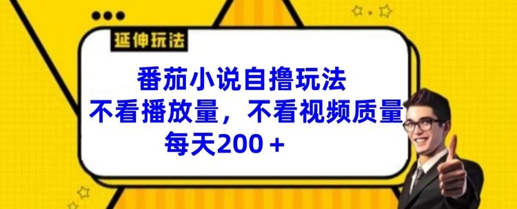 番茄小说自撸玩法，不看播放量，不看视频质量，每天200+【揭秘】-理想项目库