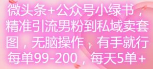 微头条+公众号小绿书,精准引流男粉到私域卖套图,无脑操作,有手就行,每单99-200,每天5单-理想项目库