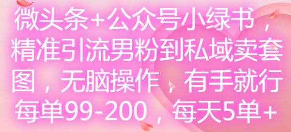 微头条+公众号小绿书，精准引流男粉到私域卖套图，无脑操作，有手就行，每单99-200，每天5单-理想项目库