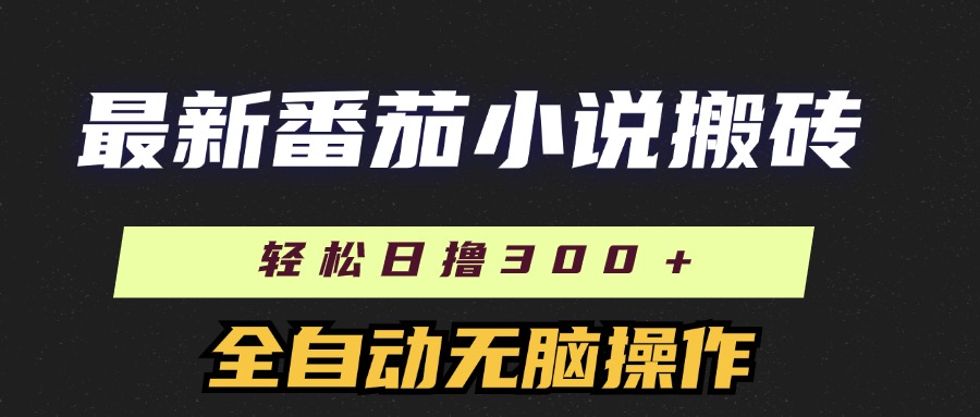 （11904期）最新番茄小说搬砖，日撸300＋！全自动操作，可矩阵放大-理想项目库
