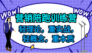 营销陪跑训练营,轻理论,重实战,轻概念,重本质,适合中小企业和初创企业的老板-理想项目库