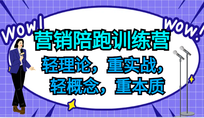 营销陪跑训练营，轻理论，重实战，轻概念，重本质，适合中小企业和初创企业的老板-理想项目库