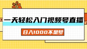 （11906期）一天入门视频号直播带货，日入1000不是梦-理想项目库