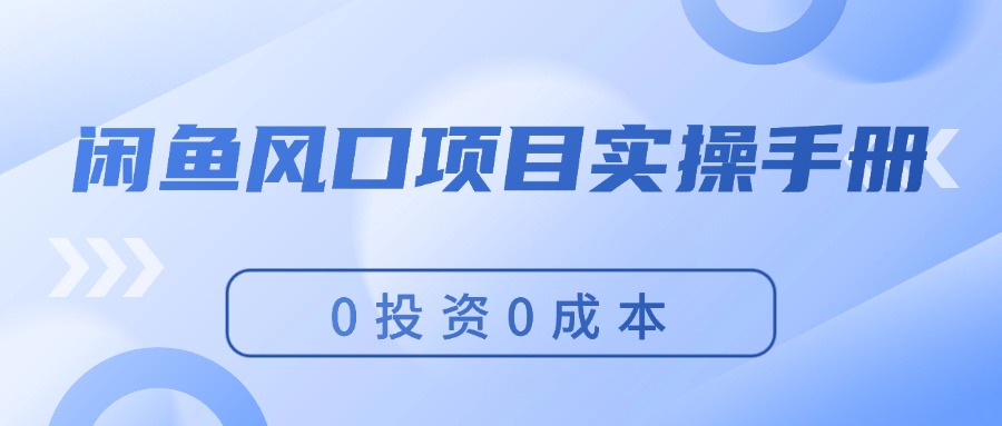 （11923期）闲鱼风口项目实操手册，0投资0成本，让你做到，月入过万，新手可做-理想项目库