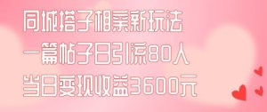 同城搭子相亲新玩法一篇帖子引流80人当日变现3600元(项目教程+实操教程)【揭秘】-理想项目库