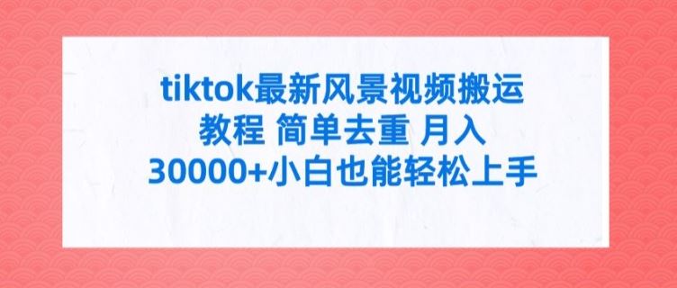 tiktok最新风景视频搬运教程 简单去重 月入3W+小白也能轻松上手【揭秘】-理想项目库