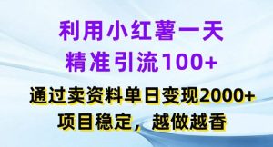 利用小红书一天精准引流100+，通过卖项目单日变现2k+，项目稳定，越做越香【揭秘】-理想项目库