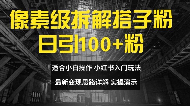 像素级拆解搭子粉，日引100+，小白看完可上手，最新变现思路详解【揭秘】-理想项目库