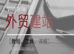 WordPress外贸建站+SEO优化课程【教程，工具，流程】-理想项目库