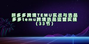 （11934期）拼多多跨境TEMU实战与选品，多多temu跨境选品运营实操（33节）-理想项目库