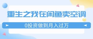(11962期)重生之我在闲鱼卖空调,0投资做到月入过万,迎娶白富美,走上人生巅峰-理想项目库