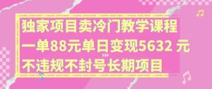 独家项目卖冷门教学课程一单88元单日变现5632元违规不封号长期项目【揭秘】-理想项目库