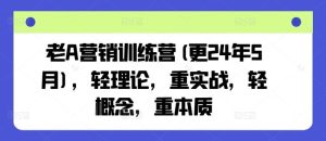老A营销训练营(更24年7月),轻理论,重实战,轻概念,重本质-理想项目库