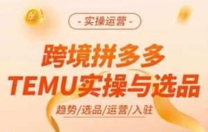 跨境拼多多TEMU实操与选品,多多temu跨境选品运营实操-理想项目库