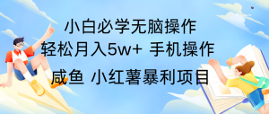 全网首发2024最暴利手机操作项目，简单无脑操作，每单利润最少500+-理想项目库
