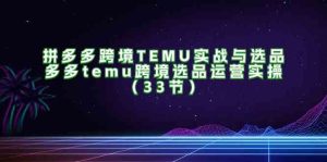 拼多多跨境TEMU实战与选品，多多temu跨境选品运营实操（33节）-理想项目库