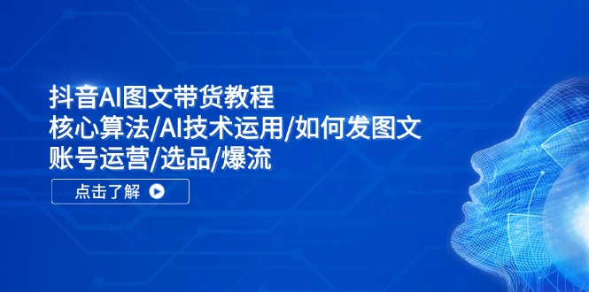 抖音AI图文带货教程：核心算法/AI技术运用/如何发图文/账号运营/选品/爆流-理想项目库