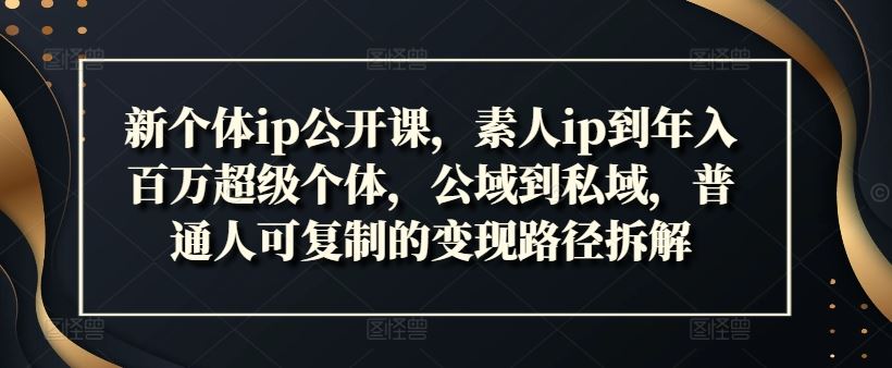 新个体ip公开课，素人ip到年入百万超级个体，公域到私域，普通人可复制的变现路径拆解-理想项目库