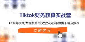 (11978期)Tiktok财务核算实战营:TK业务模式/数据核算/应收款及毛利/数据下载及报表-理想项目库