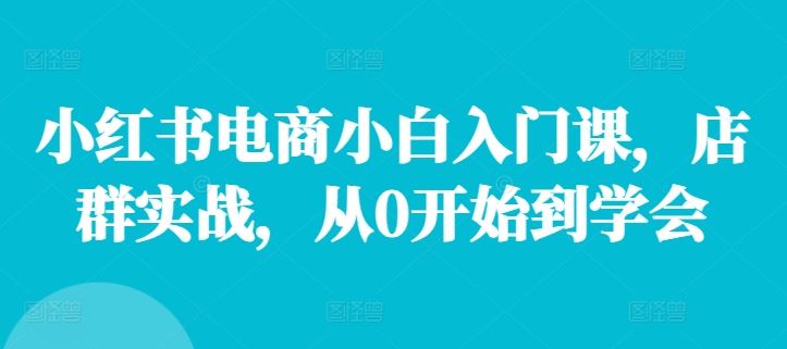 小红书电商小白入门课，店群实战，从0开始到学会-理想项目库