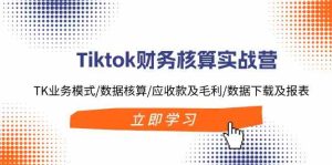 Tiktok财务核算实战营：TK业务模式/数据核算/应收款及毛利/数据下载及报表-理想项目库