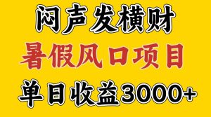 30天赚了7.5W 暑假风口项目,比较好学,2天左右上手-理想项目库