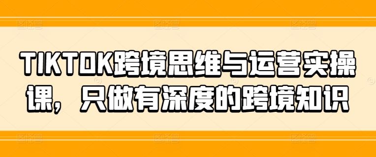 TIKTOK跨境思维与运营实操课，只做有深度的跨境知识-理想项目库