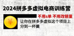 (12024期)2024拼多多虚拟电商训练营 不s单 不改销量  做虚拟项目分一杯羹(更新10节)-理想项目库