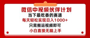 (12017期)微信中视频伙伴计划,仅靠搬运就能轻松实现日入500+,关键操作还简单,…-理想项目库