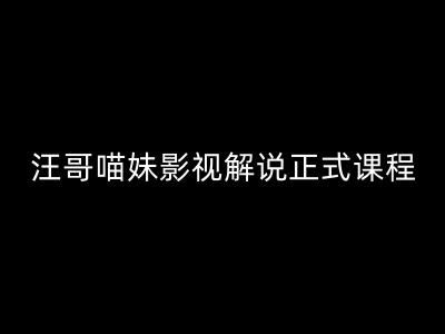 汪哥影视解说正式课程：剪映/PR教学/视解说剪辑5大黄金法则/全流程剪辑7把利器等等-理想项目库