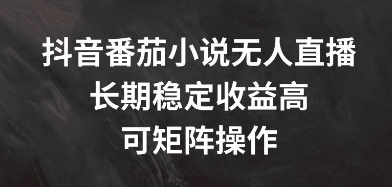 抖音番茄小说无人直播，长期稳定收益高，可矩阵操作【揭秘】-理想项目库
