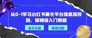从0-1学习小红书聚光平台信息流投放,保姆级入门教程-理想项目库