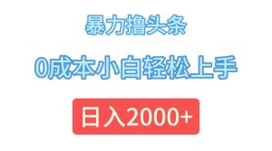 (12068期)暴力撸头条,0成本小白轻松上手,日入2000+-理想项目库