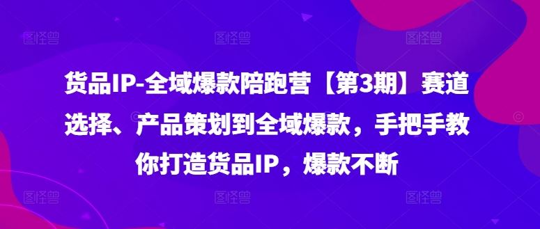 货品IP全域爆款陪跑营【第3期】赛道选择、产品策划到全域爆款，手把手教你打造货品IP，爆款不断-理想项目库