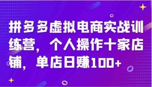 拼多多虚拟电商实战训练营,个人操作十家店铺,单店日赚100+-理想项目库